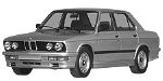 BMW E28 P3625 Fault Code